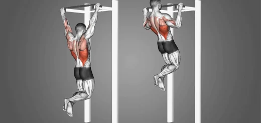 What muscles do pull-ups work?